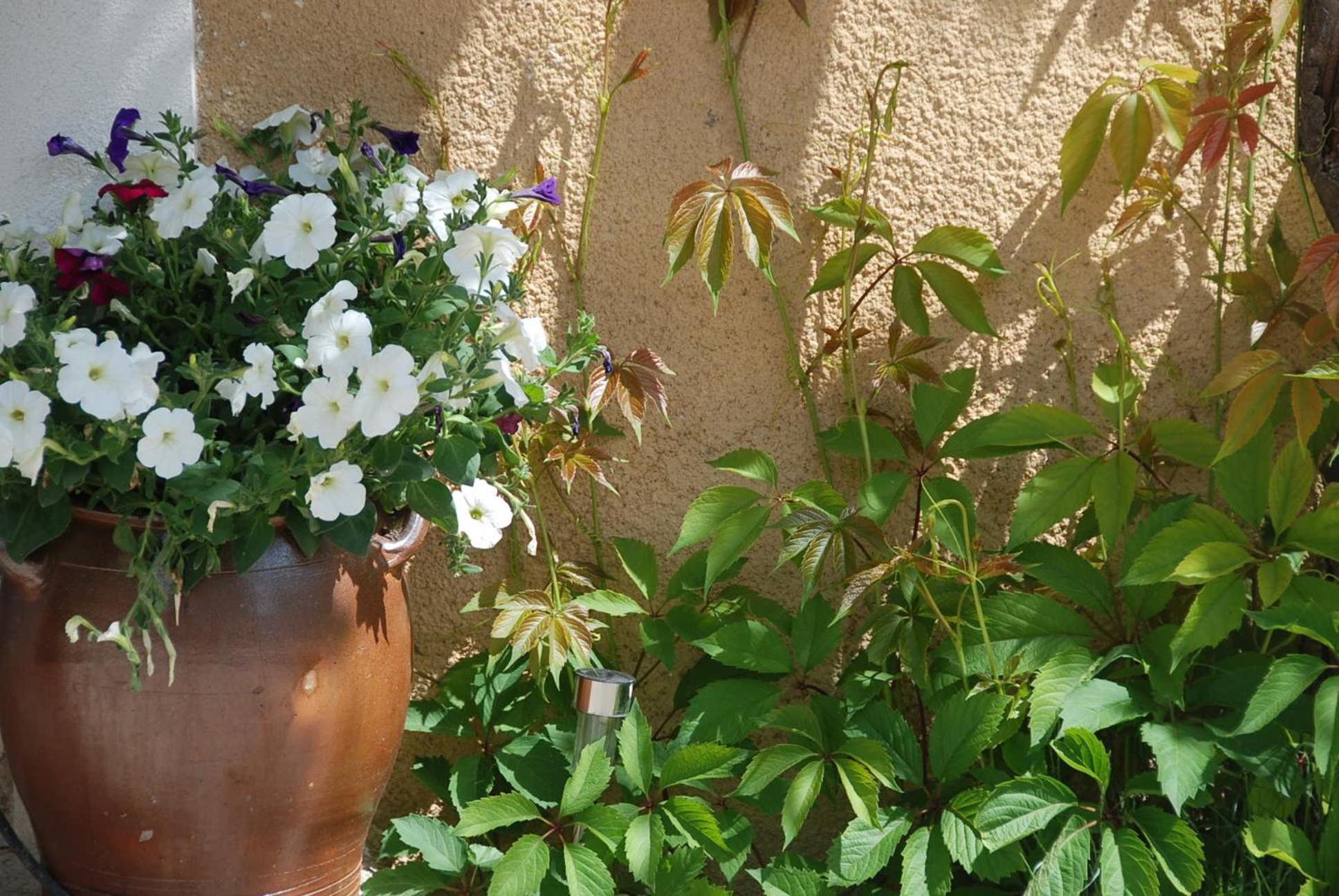 Bed and Breakfast Le Domaine Saint Jean Экстерьер фото